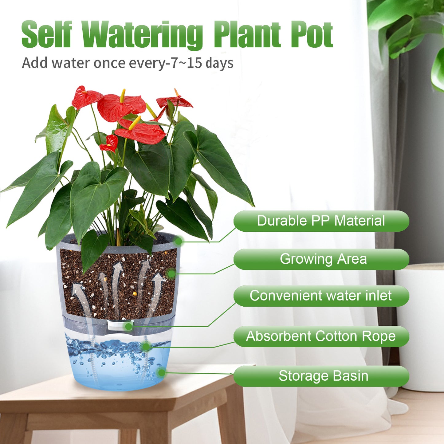 Selbstbewässernder Blumentopf – Transparent, Modern, im Einzel- oder 3er-Set